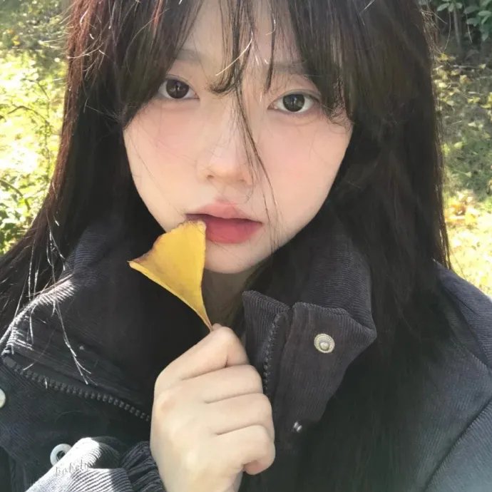 锦囊妙录