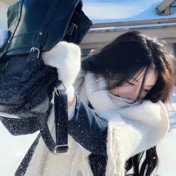世界街头女斗士3